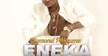 MP3 DOWNLOAD Diamond Platnumz - Eneka