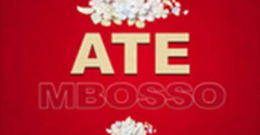 MP3 DOWNLOAD Mbosso - Ate