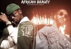 MP4 DOWNLOAD Diamond Platnumz Ft Omarion - African Beauty