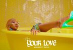 MP4 DOWNLOAD Mbosso Ft Zuchu - For Your Love