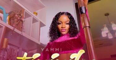 MP3 DOWNLOAD Yammi - Tiririka