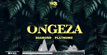 MP3 DOWNLOAD Diamond Platnumz - Ongeza