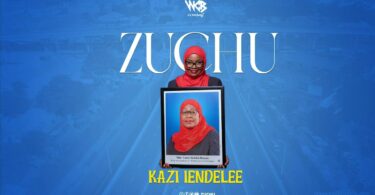 MP3 DOWNLOAD Zuchu - Kazi Iendelee