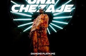 MP3 DOWNLOAD Diamond Platnumz - Unachezaje