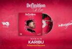 MP3 DOWNLOAD Mbosso Ft Diamond Platnumz - Karibu