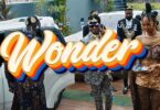 MP4 DOWNLOAD Diamond Platnumz - Wonder