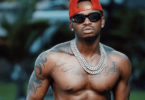 MP4 DOWNLOAD Diamond Platnumz - Haunisumbui