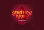 MP3 DOWNLOAD Mzee Wa Bwax Ft Mbosso - Shemeji Yako