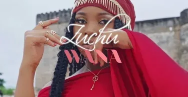 MP4 DOWNLOAD Zuchu - Wana