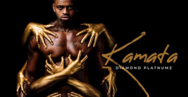 MP3 DOWNLOAD Diamond Platnumz - Kamata