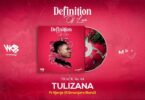 MP3 DOWNLOAD Mbosso Ft Njenje - Tulizana