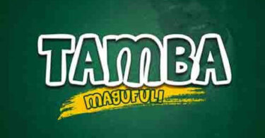 MP3 DOWNLOAD Mbosso - Tamba Magufuli