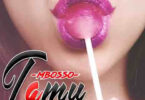 MP3 DOWNLOAD Mbosso - Tamu