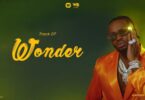 MP3 DOWNLOAD Diamond Platnumz - Wonder