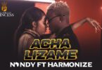 MP4 DOWNLOAD Nandy Ft Harmonize - Acha Lizame