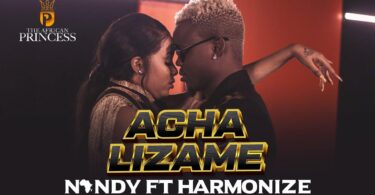 MP4 DOWNLOAD Nandy Ft Harmonize - Acha Lizame