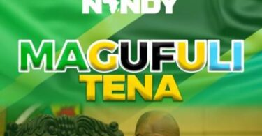 MP3 DOWNLOAD Nandy - Magufuli Tena