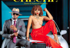 MP3 DOWNLOAD Zuchu Ft Diamond Platnumz - Cheche