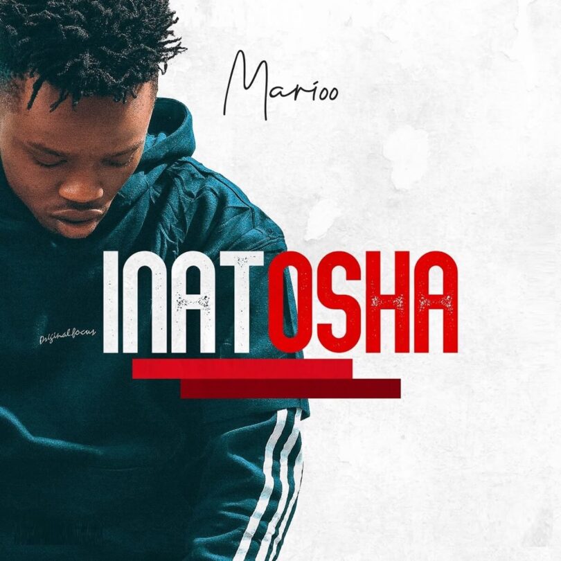 MP3 DOWNLOAD Marioo – Inatosha