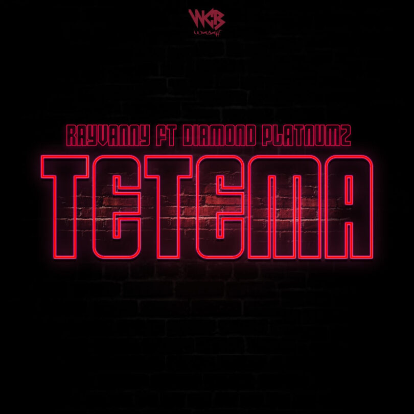 MP3 DOWNLOAD Rayvanny Ft Diamond Platnumz – Tetema