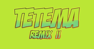 MP3 DOWNLOAD Rayvanny Ft Patoranking and Zlatan & Diamond Platnumz - Tetema Remix