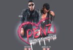 MP3 DOWNLOAD Rayvanny Ft Harmonize - Penzi