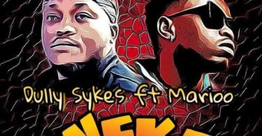 MP3 DOWNLOAD Marioo Ft DullySykes - Weka