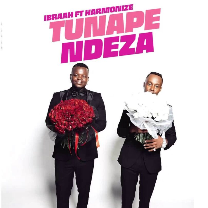 MP3 DOWNLOAD Ibraah Ft Harmonize - Tunapendeza