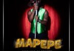 MP3 DOWNLOAD Jux – Mapepe