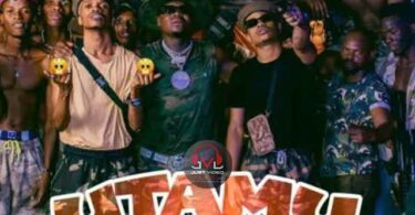 MP3 DOWNLOAD Mabantu Ft Harmonize – Utamu Remix