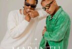 MP3 DOWNLOAD Mabantu – Happy Birthday