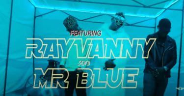 MP4 DOWNLOAD Nyandu Tozzy Ft Rayvanny & Mr Blue - Mawe