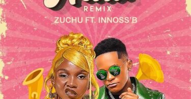 MP3 DOWNLOAD Zuchu Ft Innoss'B - Nani Remix