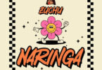 MP3 DOWNLOAD Zuchu - Naringa