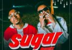 MP3 DOWNLOAD Jay Melody Ft Marioo - Sugar remix