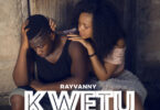 MP3 DOWNLOAD Rayvanny - Kwetu