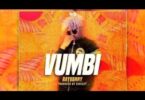 MP3 DOWNLOAD Rayvanny Ft Diamond Platnumz - Vumbi