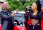 MP4 DOWNLOAD Rosa Ree Ft Rayvanny - Sukuma Ndinga Remix