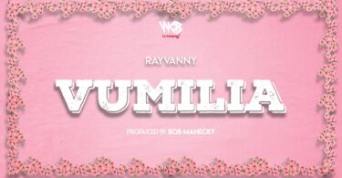 MP3 DOWNLOAD Rayvanny - Vumilia