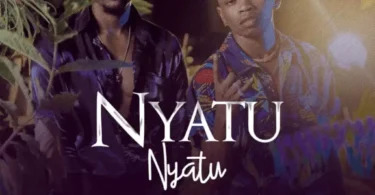 MP3 DOWNLOAD Marioo Ft G Nako - Nyatu Nyatu