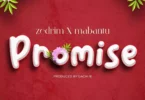 MP3 DOWNLOAD Mabantu Ft Zedrim – Promise