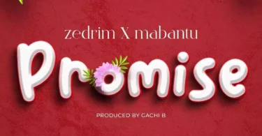 MP3 DOWNLOAD Mabantu Ft Zedrim – Promise