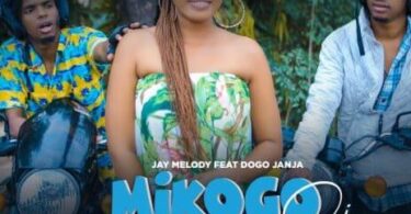 MP3 DOWNLOAD Jay Melody Ft Dogo Janja - Mikogo Sio