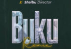 MP3 DOWNLOAD Whozu Ft Director Shaibu – Buku Remix