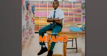 MP3 DOWNLOAD Founder TZ - Mfano