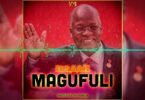 MP4 DOWNLOAD Ibraah - Magufuli