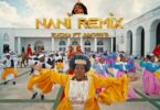 MP4 DOWNLOAD Zuchu Ft Innoss'B - Nani Remix