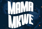 MP3 DOWNLOAD Yamoto Band Ft Barnaba – Mama Mkwe