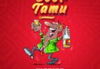 MP3 DOWNLOAD Marioo Ft Tyler ICU & Visca X Abbah Process - Beer Tamu