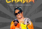 MP3 DOWNLOAD Whozu Ft Rayvanny & Ntosh Gazi - Chawa